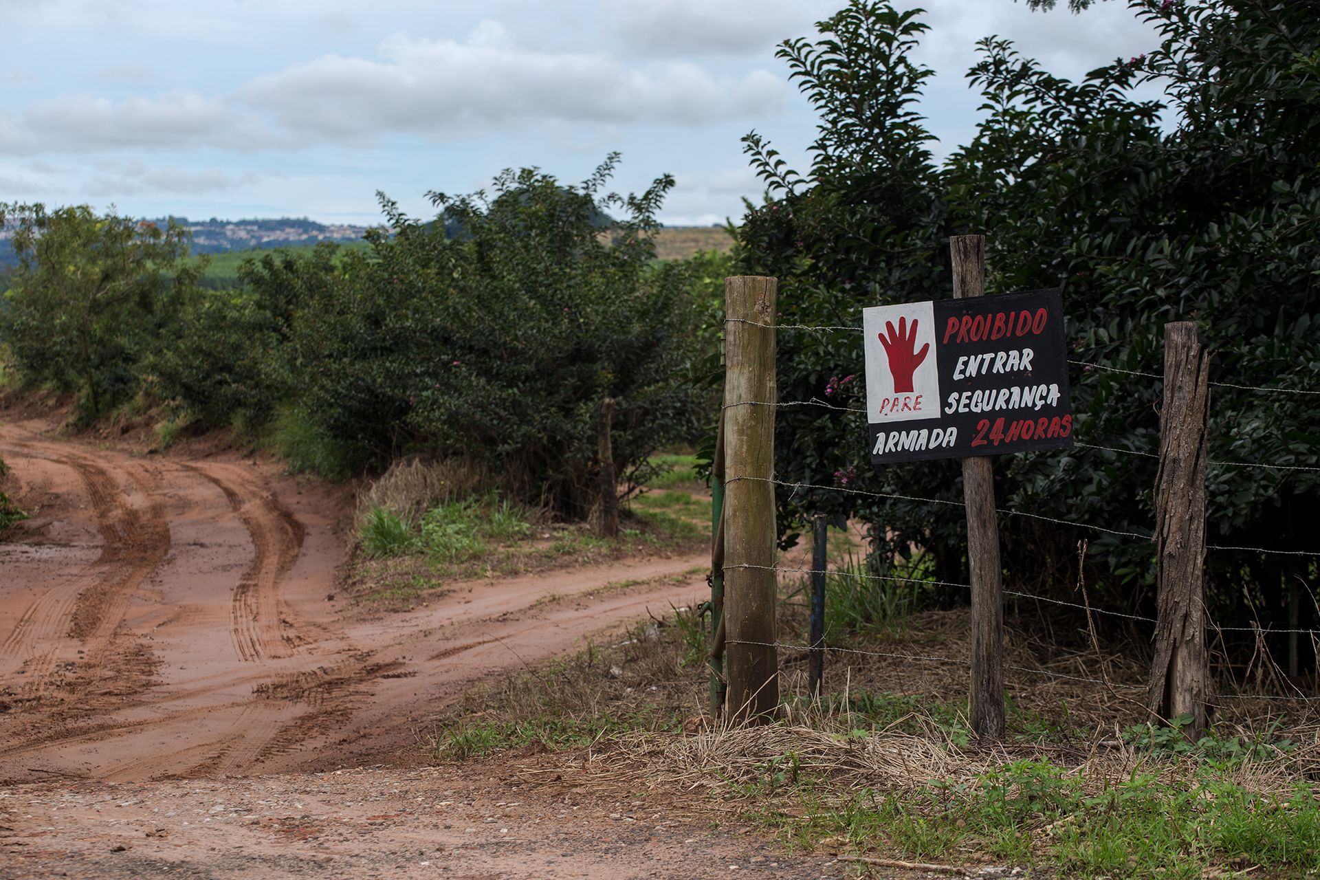 "Access prohibited" sign in front of the entry of an orange plantation.