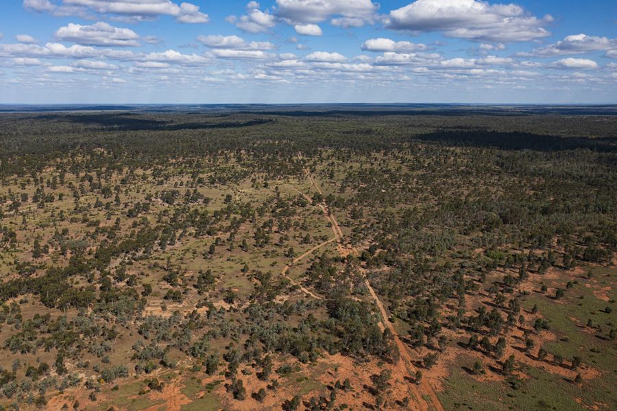 En Australie, une « zad » aborigène pour empêcher une mine de charbon