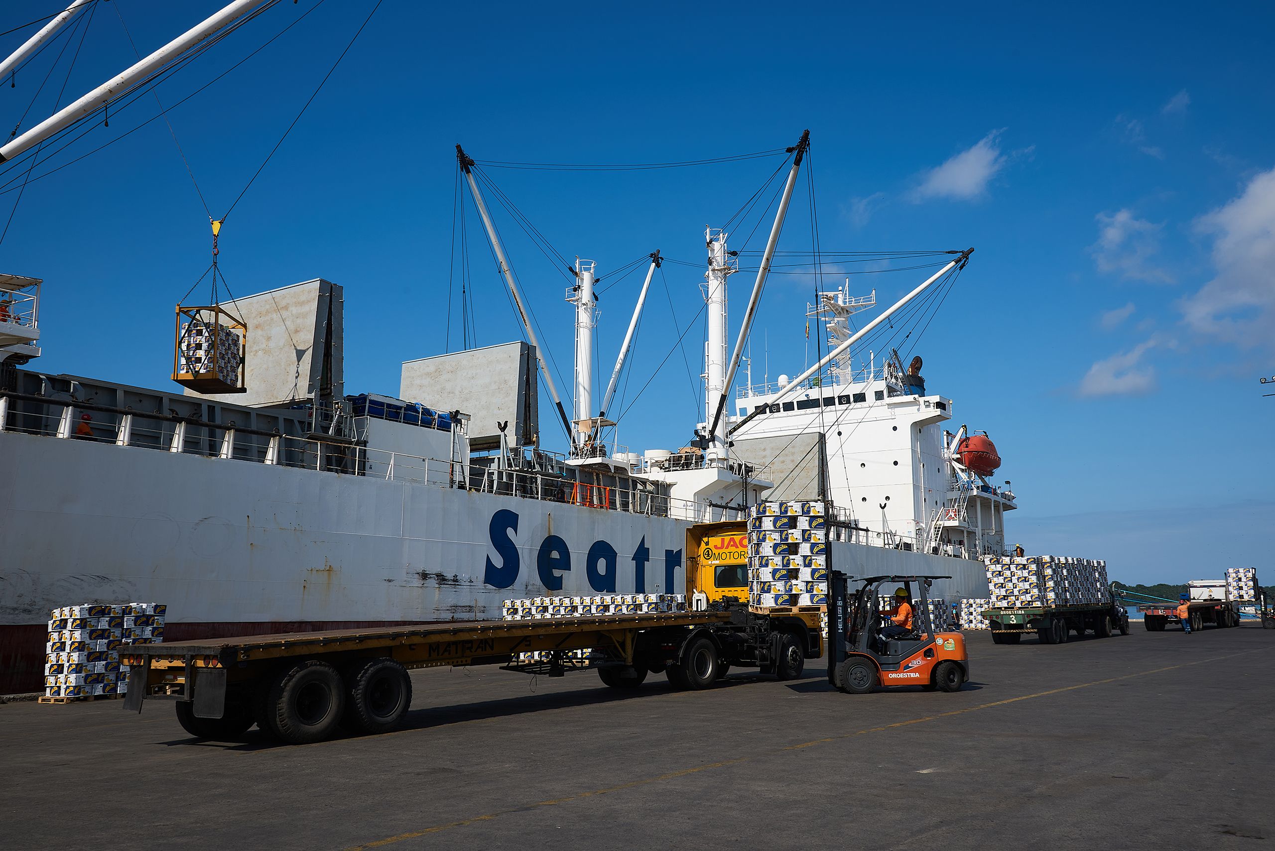 Ein Frachtschiff wird am Hafen mit Bananen beladen. Gabelstapler fahren mit Bananen-Paletten herum.