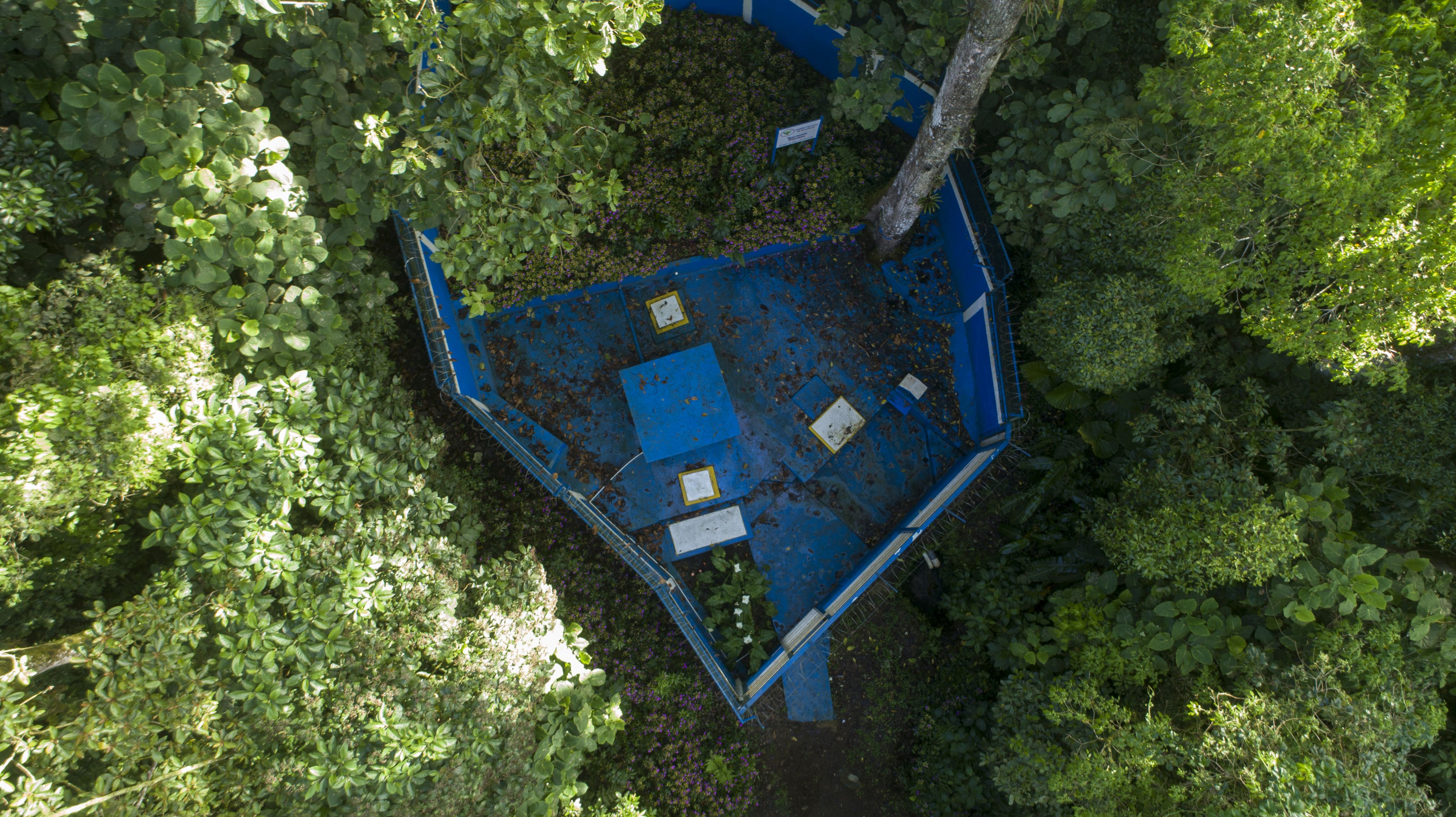 The Plantón drinking water source in Cipreses was closed by order of the Ministry of Health on 20 October 2022.