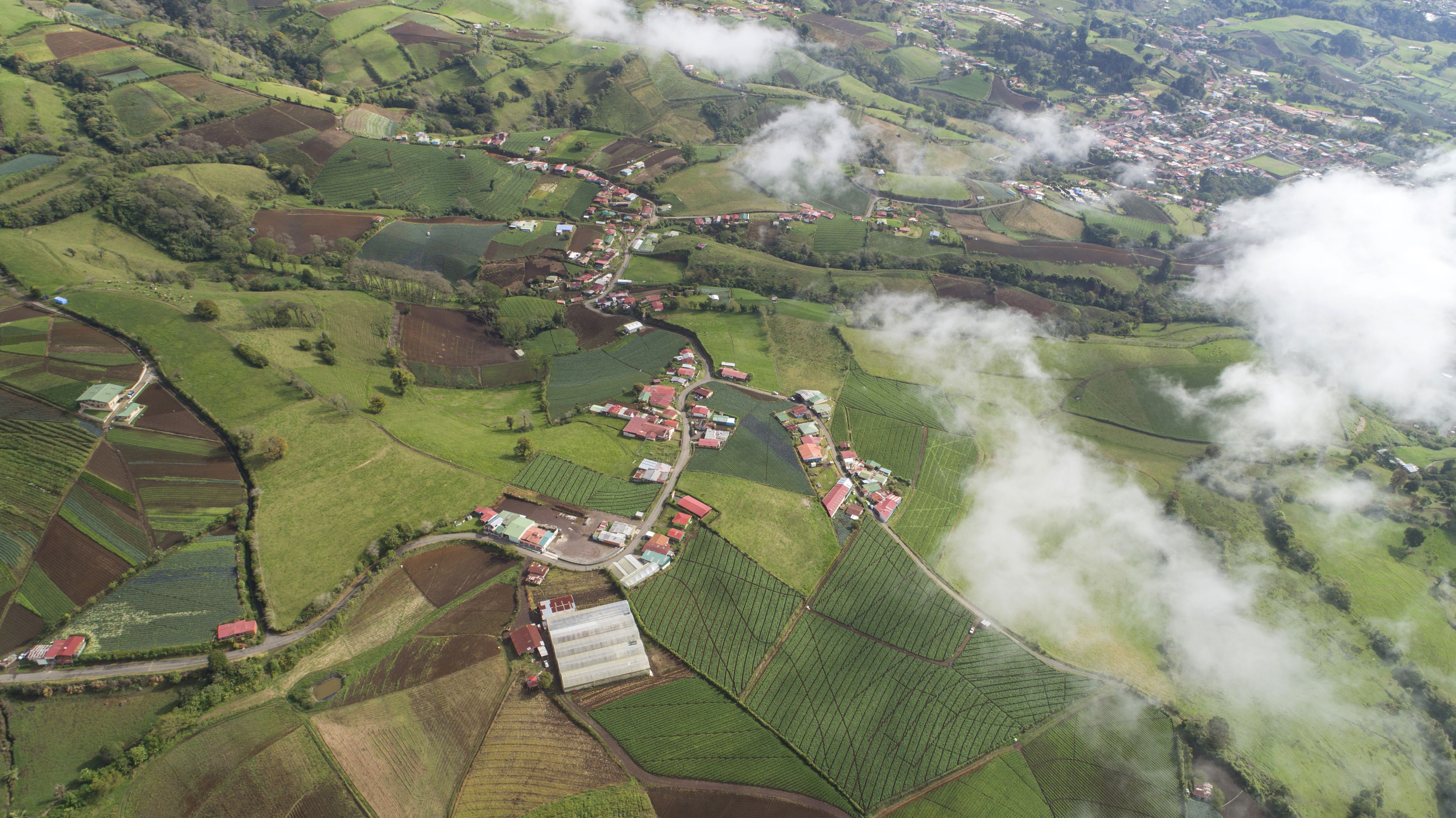 Around the fields that surround the village of Cipreses, the drinking water sources are polluted with chlorothalonil.