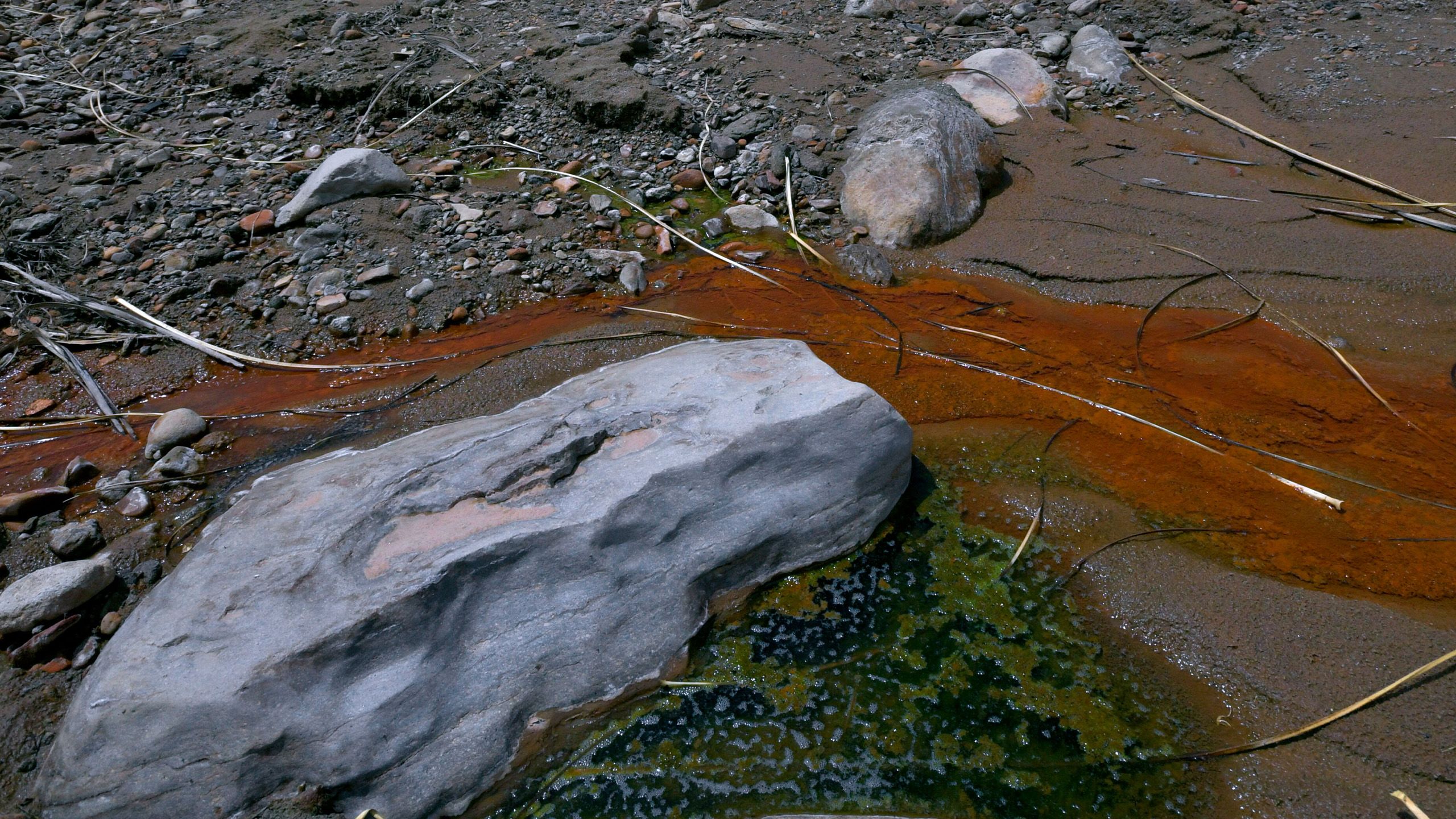 A reddish trickle flows through boulders, green foam next to it.