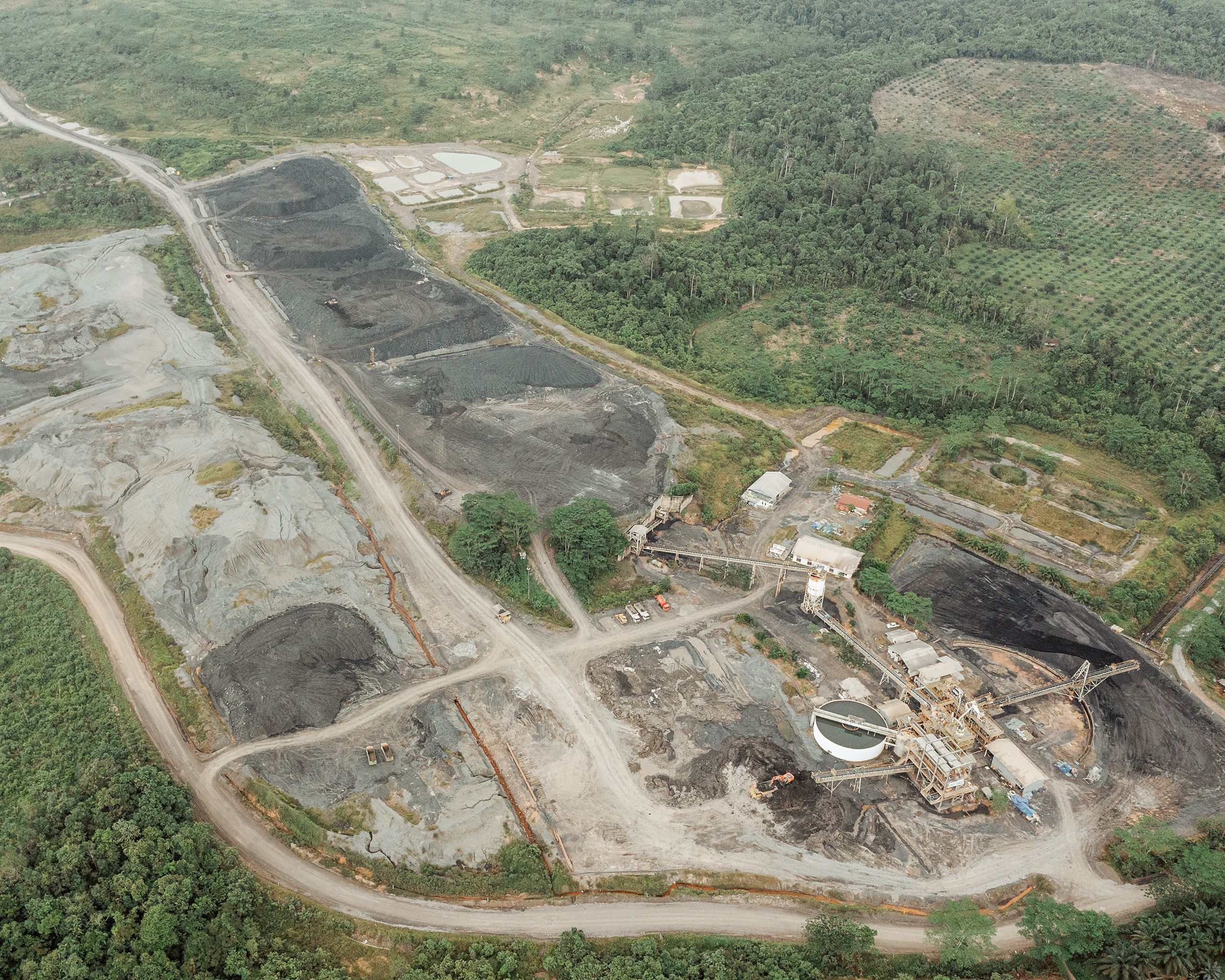 Die Kohlemine der Mercuria-Tochter KEL ist von Ölpalmen gesäumt. Neben dem Kohleabbau und der Holzindustrie sind Palmölplantagen die grösste Gefahr für den Regenwald auf Borneo.