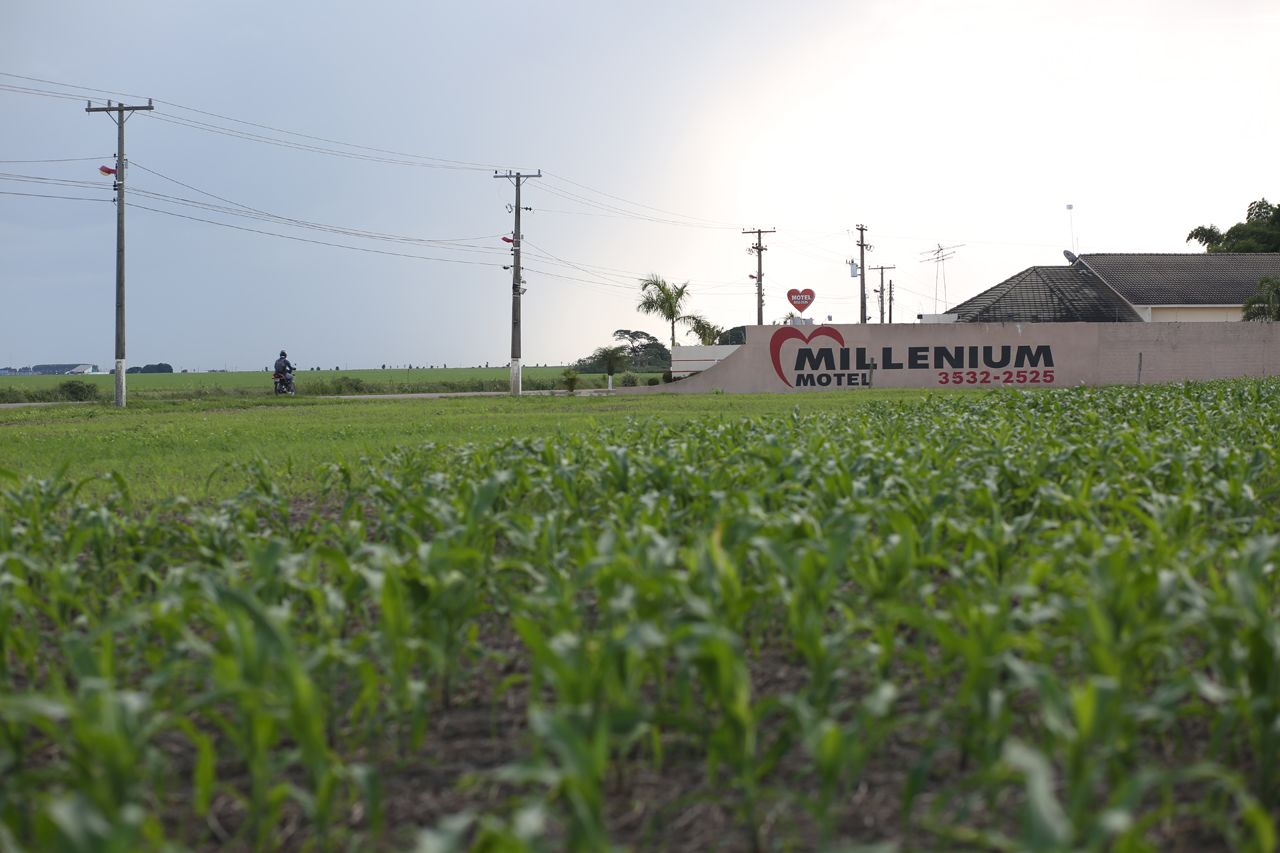 Love in the time of monocrops: corn in the foreground, a motel behind and Sinop in the background.